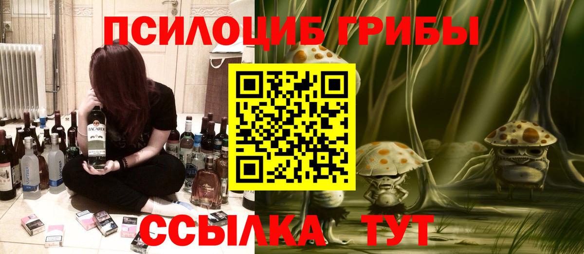 Псилоцибиновые грибы Psilocybe Саранск